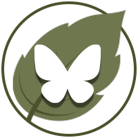BlueSky icon