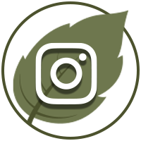 Instagram icon