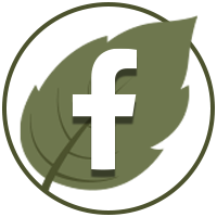 Facebook Icon