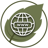 Website icon