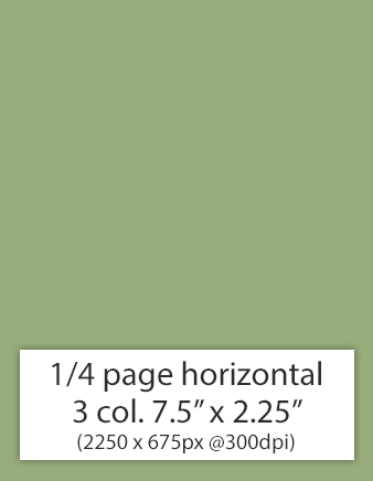 ¼ page horizontal
