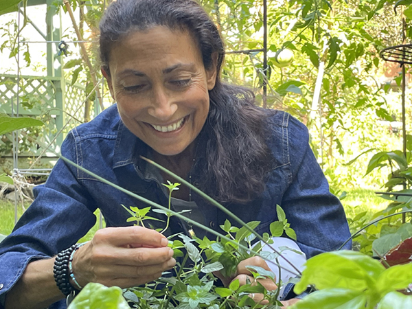 Picking Herbs