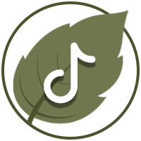 tiktok icon