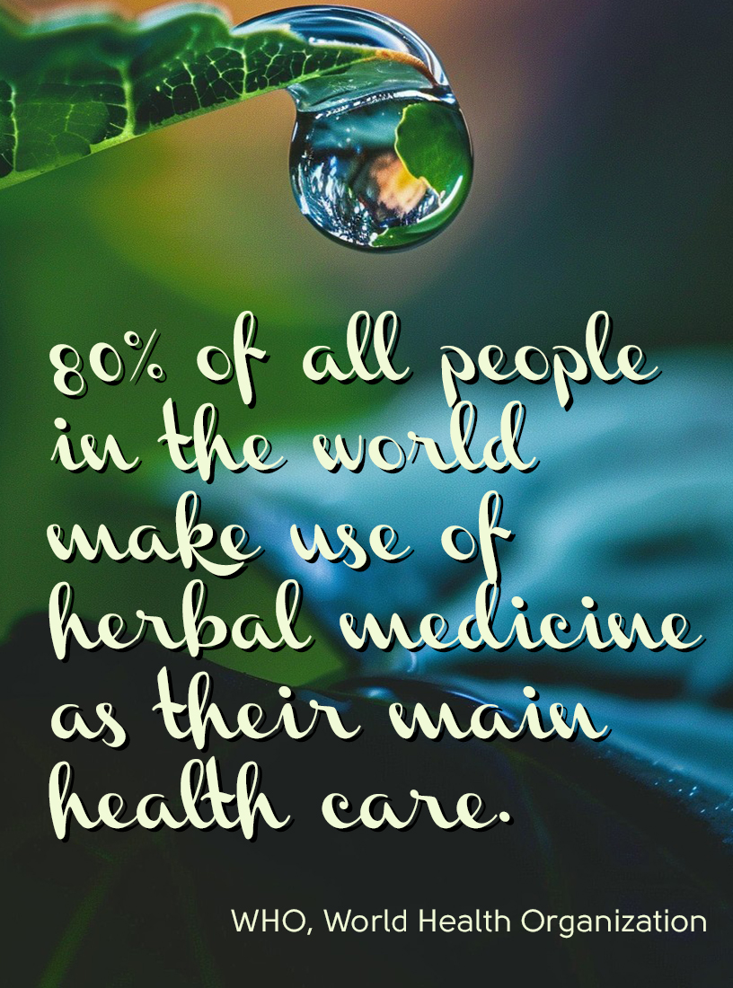 "80% of all people in the world make use of herbal medicine as their main health care." WHO, World Health Organization
