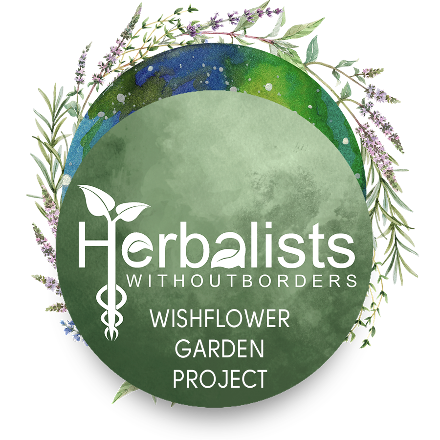 HWB WishFlower Gardens Project fancy logo