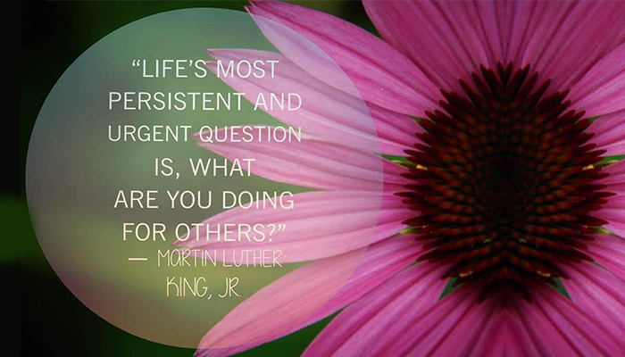 Martin Luther King Jr. quote - "Life's most persistent and urgent question in, what are you doing for others?"