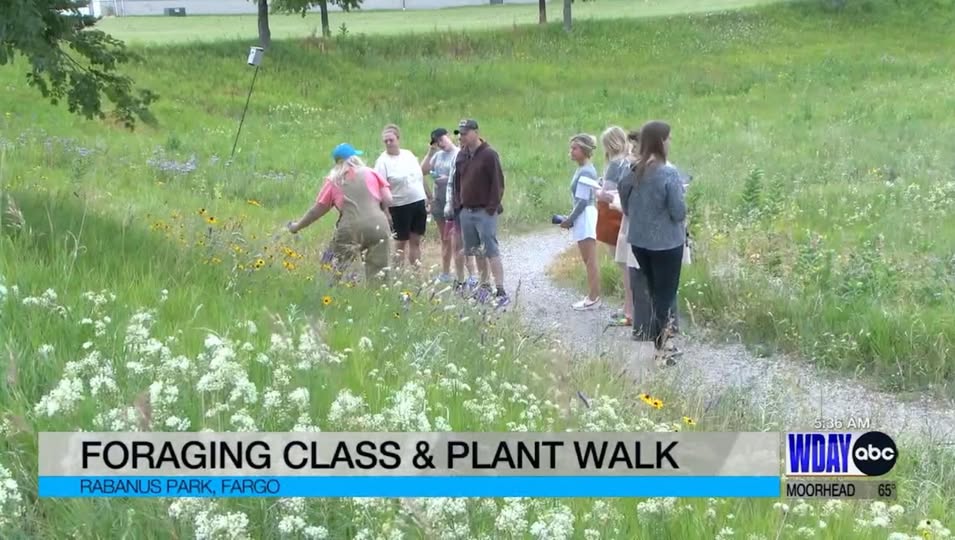 Red River Valley Foraging Class & Plant Walk